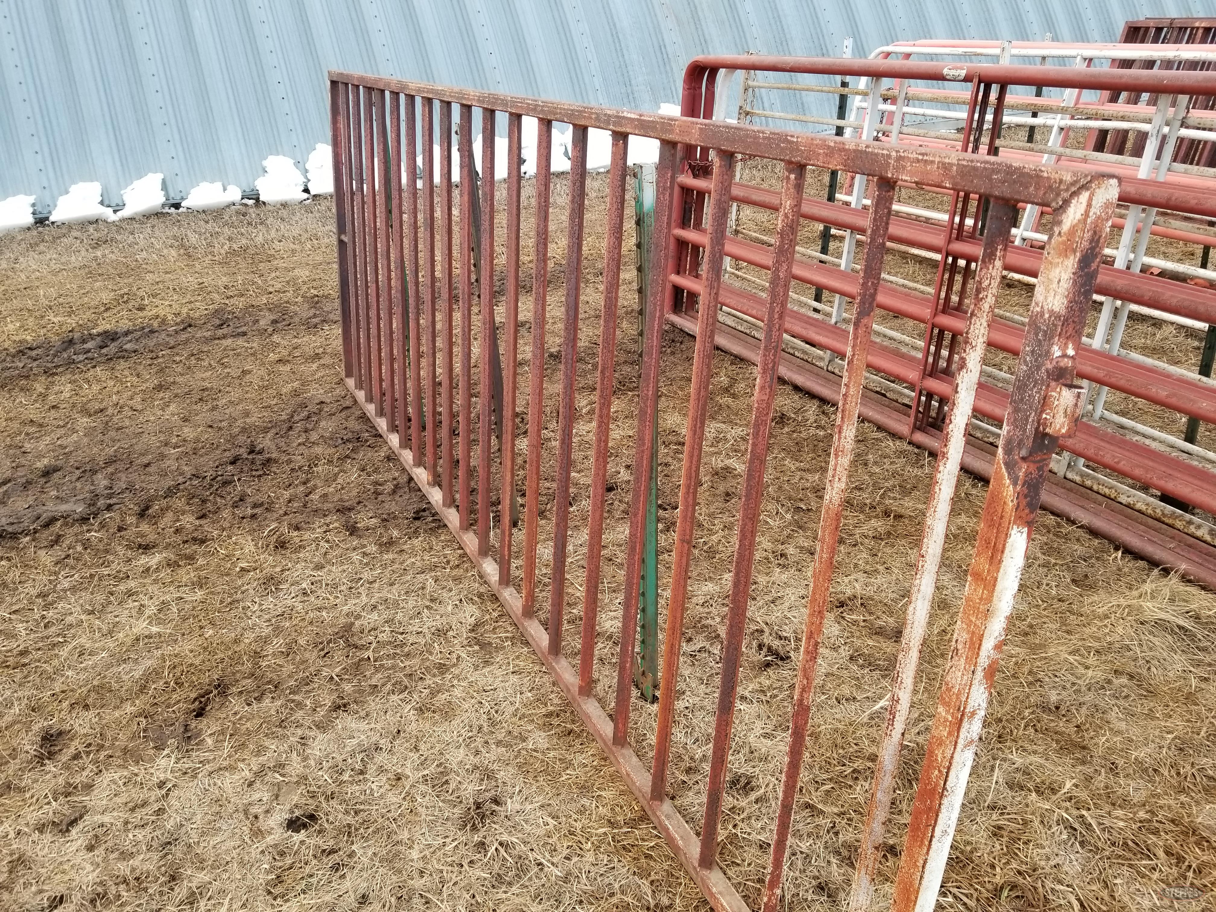 (2) 12' cattle gates